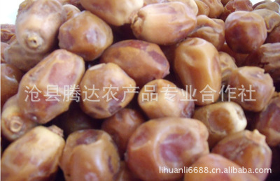 新疆和田玉棗批發(fā)價(jià)格及廠家全解析 若羌棗、灰棗、駿棗品質(zhì)分級(jí)指南