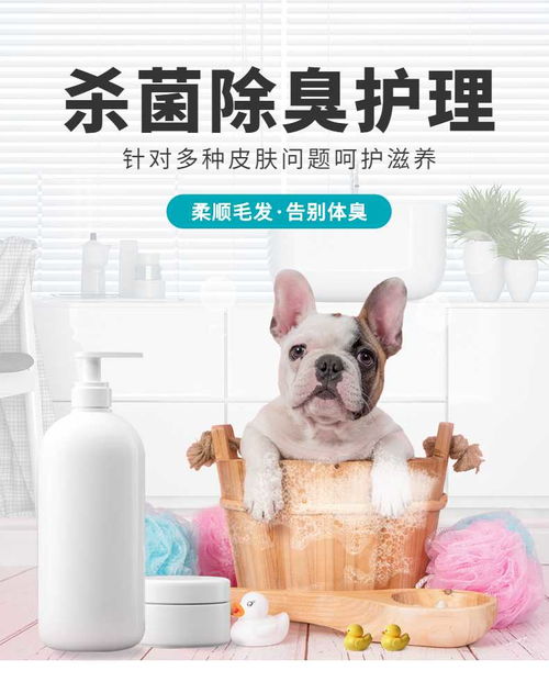 簡約設計，溫柔呵護——寵物洗護用品詳情頁 | 寵物全運會聯名手機海報長圖