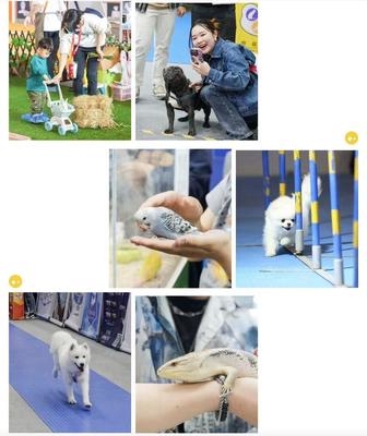 數萬寵業人齊聚潮寵展，這些亮點讓人驚呼OMG！寵物全運會點燃行業激情
